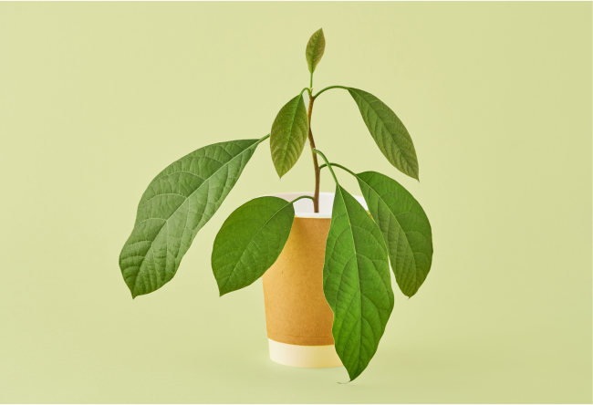 Why Biodegradable