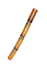 Sugarcane packaging